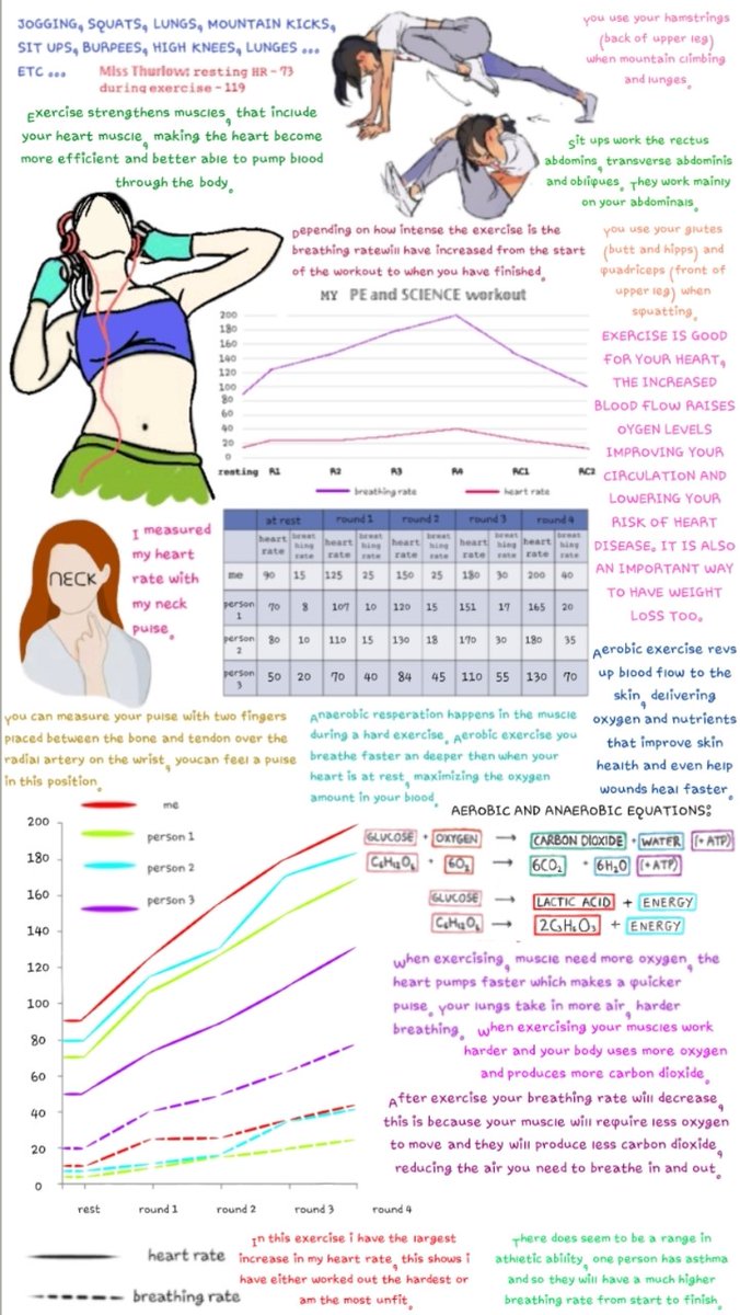KMAScience's tweet photo. Last shout out - a BIG WELL DONE to Yr 10 for their project work on Exercise and Respiration in conjunction with @KibworthPE . 

We are working our way through reading them all but we have been blown away by some of the work produced!

Winners to be announced after half term! https://t.co/BEchBOgTR3