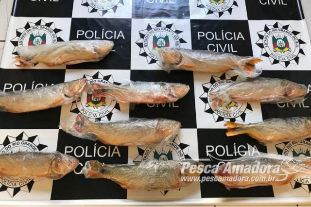 Give Brazilian police a fish and they will stage a photo op. Teach Brazilian police to fish and they will stage photo-ops for a lifetime