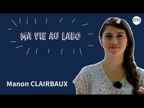 CNRS_OccitaniE's tweet photo. #FemmesEnScience | Manon Clairbaux est doctorante au Centre d'écologie fonctionnelle et évolutive de Montpellier. Elle s'intéresse à la migration des oiseaux marins face au changement climatique. @cefemontpellier 

👉  https://t.co/8I6hEpGR9o

@CNRS @umontpellier @univpaulvalery https://t.co/N9lKlczoLM