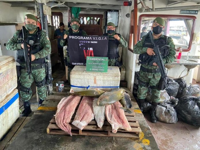 Give Brazilian police a fish and they will stage a photo op. Teach Brazilian police to fish and they will stage photo-ops for a lifetime