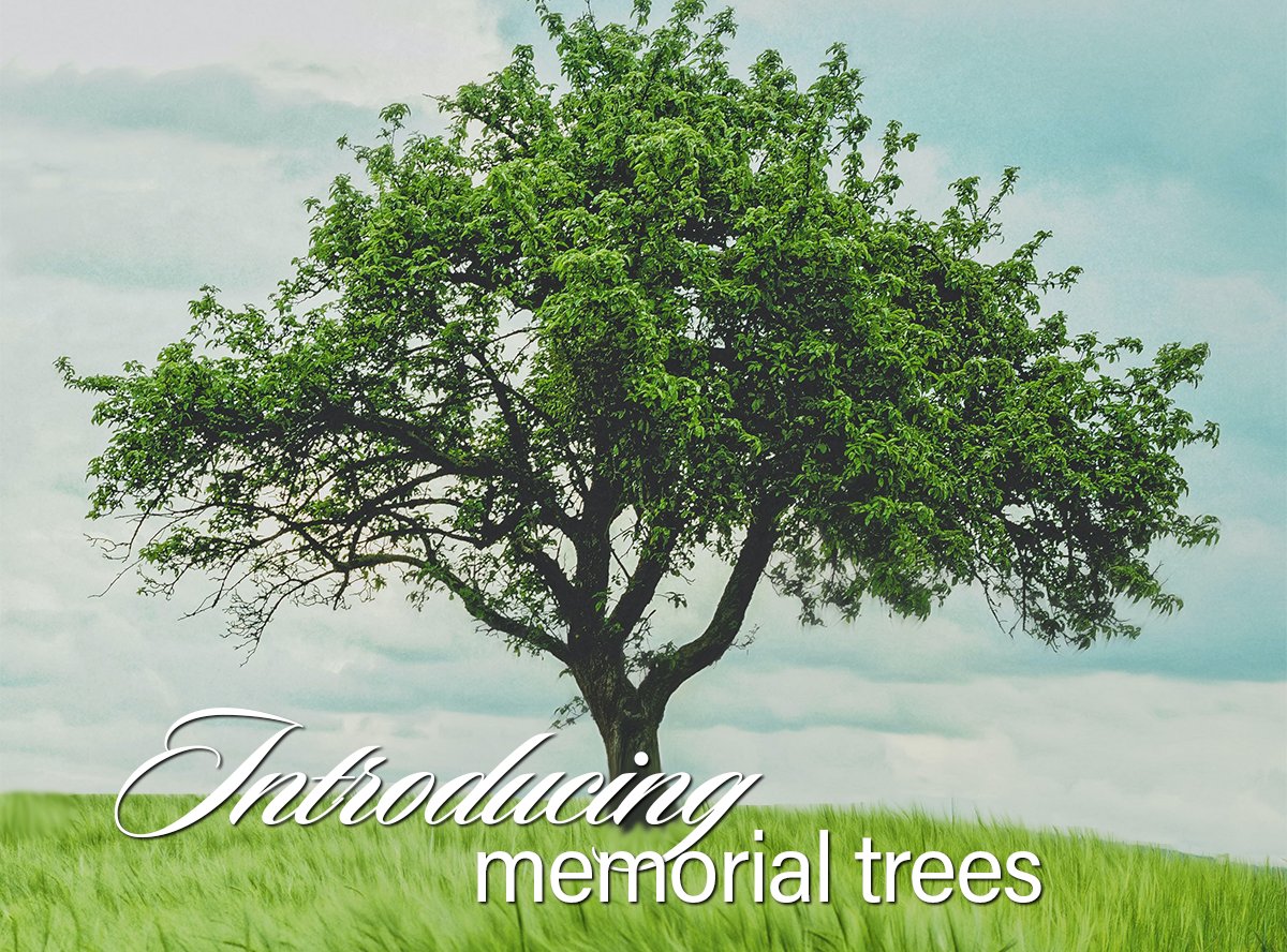 Reforest America With Every Obituary conta.cc/3rIS1sy