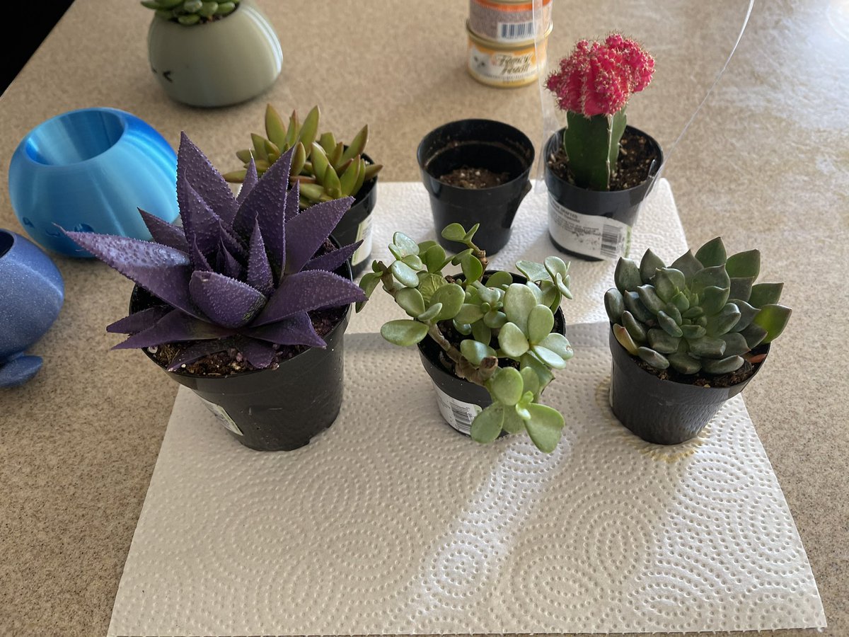 TimberCooper's tweet photo. More plants to print pots for! I’m really loving this side project #3dprint https://t.co/BjUSVunldn