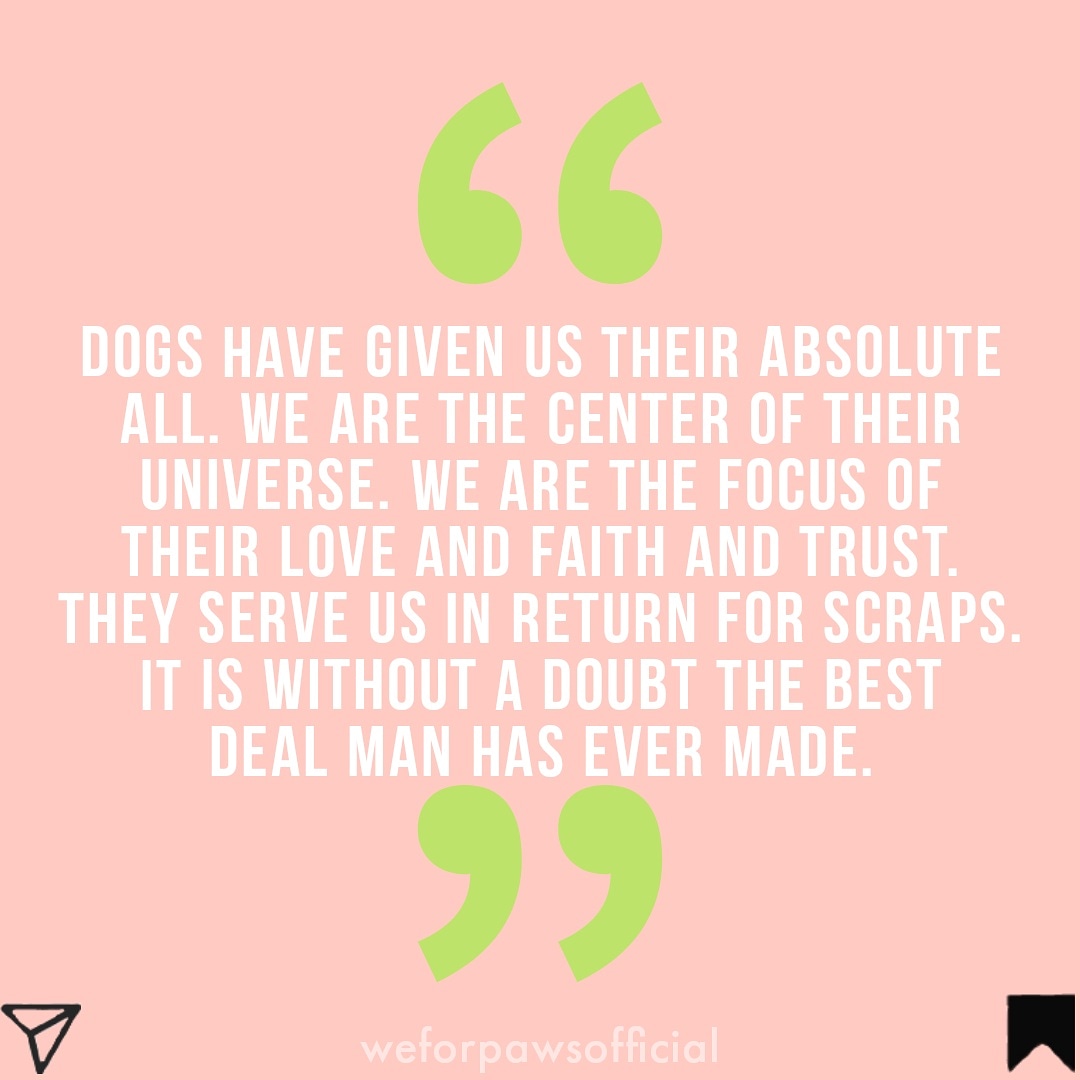 Quote by Roger Caras
#dogloverscommunity #dogloversfamily #dogloversfeed #dogloversunited #themdoglovers #dogloversgift #cuteanimalpage #fosteranimals #fosterstraydogs #fosterdogmom #strayanimalsday #straydogsfeeder #dogloversunite #dowgeewoogee #dawgsdayout #weforpaws