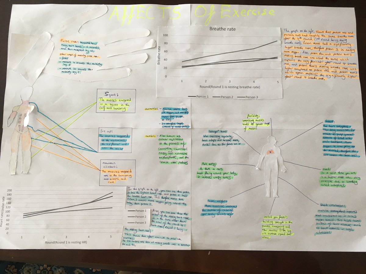 KMAScience's tweet photo. Last shout out - a BIG WELL DONE to Yr 10 for their project work on Exercise and Respiration in conjunction with @KibworthPE . 

We are working our way through reading them all but we have been blown away by some of the work produced!

Winners to be announced after half term! https://t.co/BEchBOgTR3