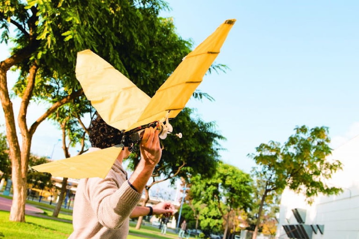 MouserElecEU's tweet image. The griffin is a mythological flying creature. It is also the name of a new EU-funded research project seeking to build a #RoboticBird: mou.sr/3rxp4zE via @DigitalTrends 🦅🤖