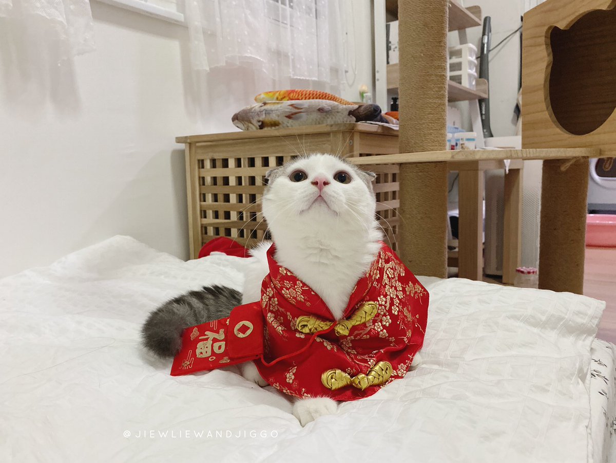 ใส่ปุ๊บตี๋ปั๊บบบบบบ