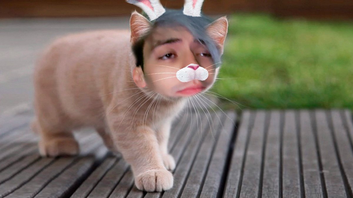 Voy a hacer un preguntas y respuestas en YouTube.
Dejad todas las preguntas que queráis (serias y no serias) en este tweet y serán respondidas en un vídeo.
✨SEAN CREATIVOS ✨