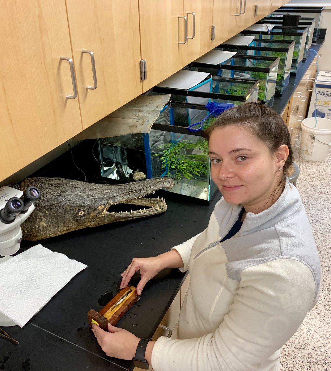 SolomonRDavid's tweet image. Shout out to the FINtastic #WomenInScience at #GarLab! It’s been a privilege working with these awesome scientists! #womenandgirlsinscience