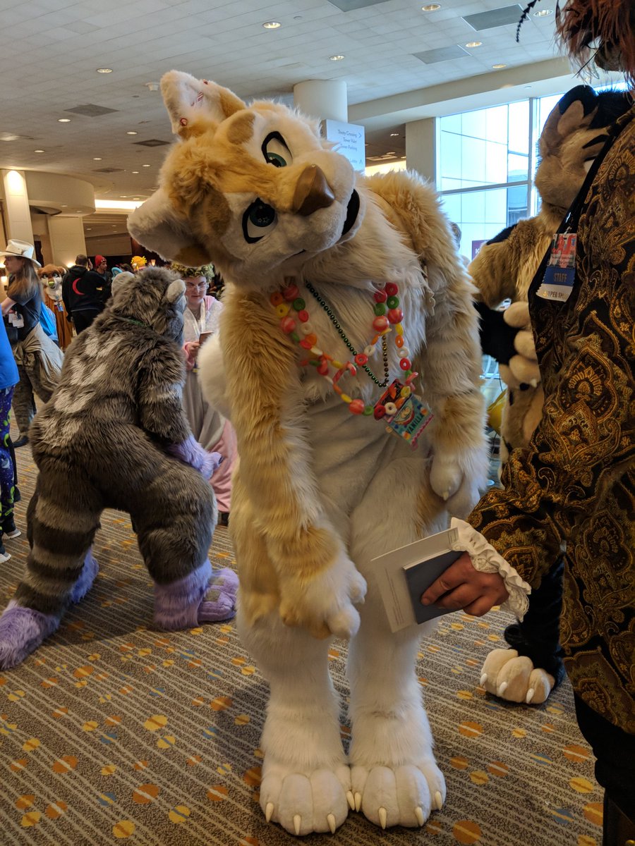 tohrufusky's tweet photo. Omg my phone just threw me back to TFF 2018?!?? I miss all my Texas friends so much like @vanilladam, @TigertheMeerkat, & @Rabidrabbit56 🥺❤️ as well as all the amazing times at one of the best cons on the planet~ #TFF2018 CAN'T wait to get back! https://t.co/MAIA25UXSB