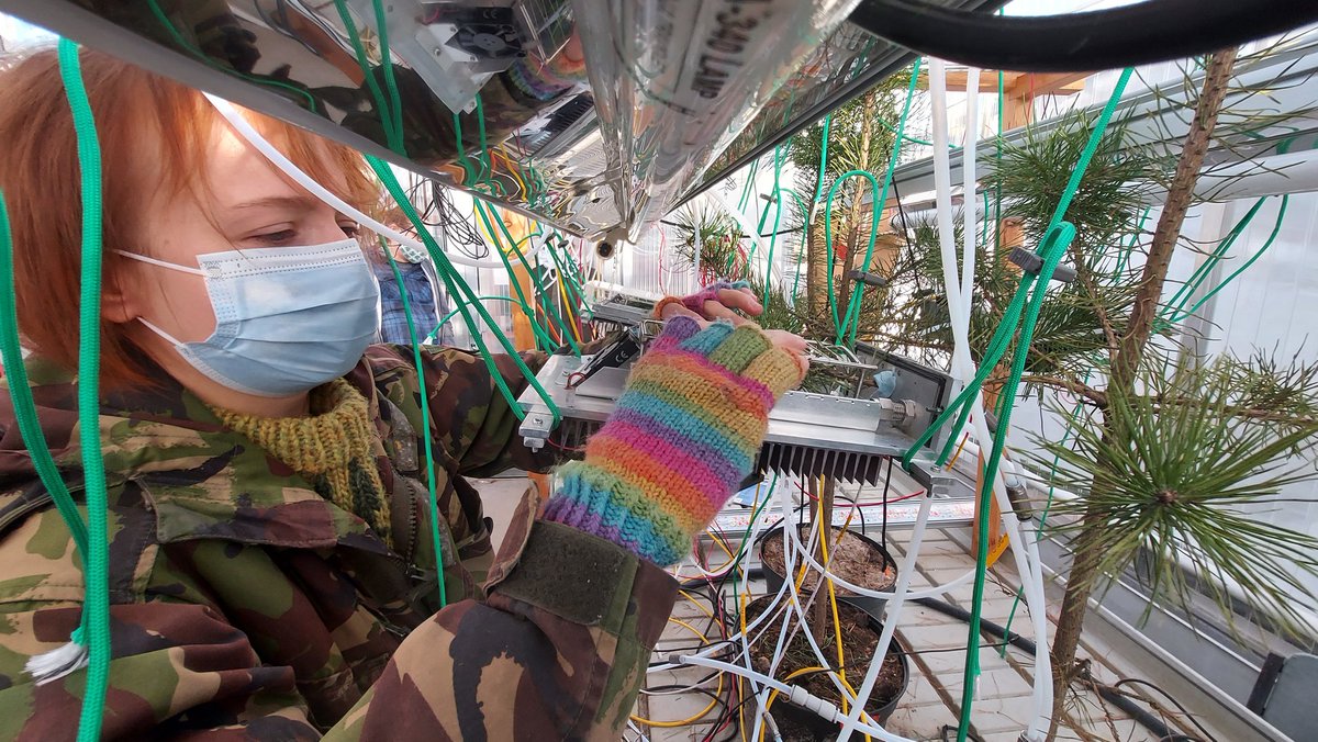 Hello Viikki campus, long time no seen. Exciting new setups of tree-CH4 studies vol4, future plans, thoughts around SAM, redox, soil works, and Eino Leino poetry with <a href="/SallaTenhovirta/">Salla Tenhovirta</a> <a href="/KoskinenMarkkuI/">Markku Koskinen</a> @lukas_kohl <a href="/CH4_N2O_Forests/">CH4 & N2O cycles in forests</a> <a href="/HU_EnvSoilSci/">UH Environmental Soil Science</a> <a href="/viikki_plants/">ViPS</a> <a href="/EcoPhysGroup/">Ecosystem Processes</a>