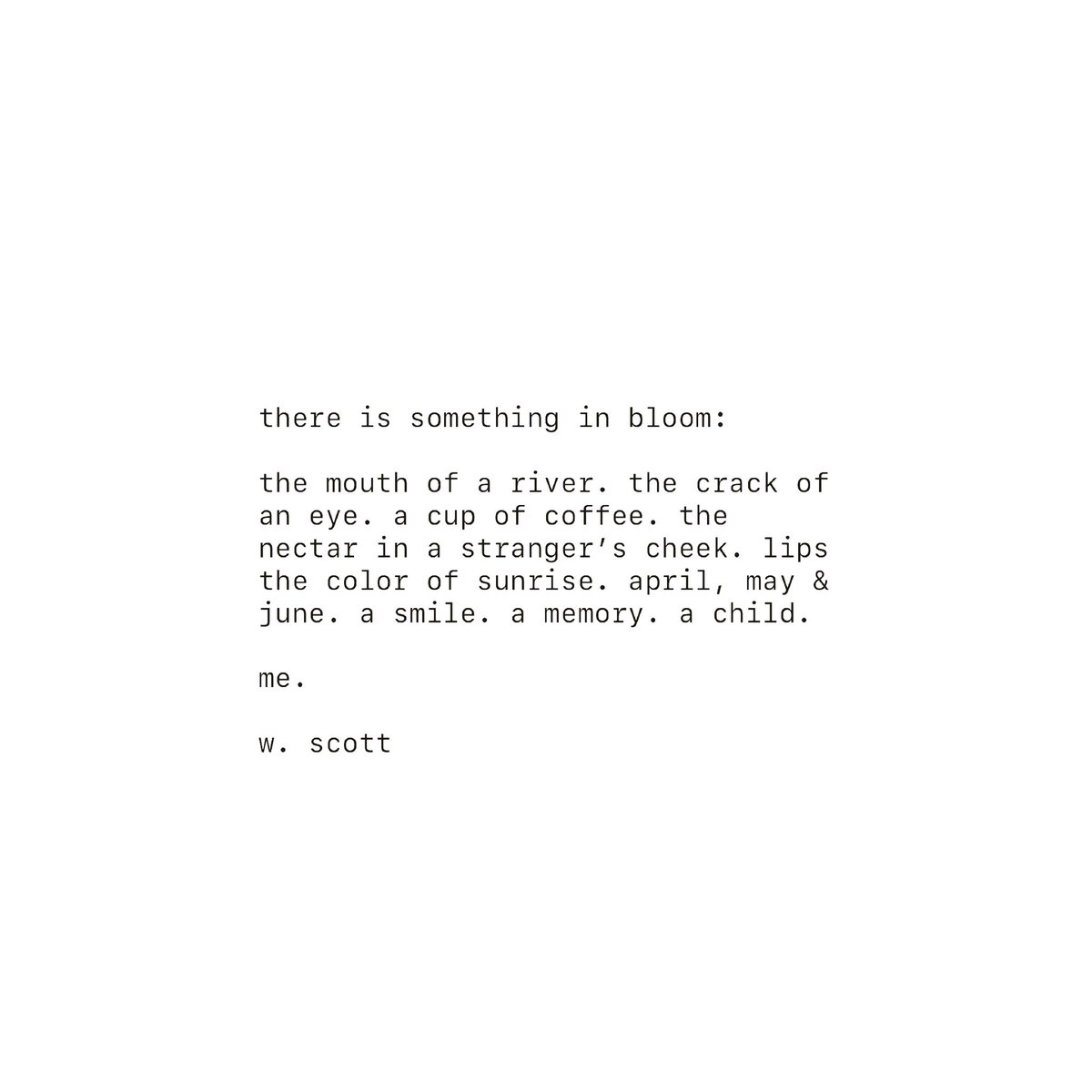 there is something in bloom 

#growthmindset #growingpains #writingcommunity #poetrycommunity #writtenwords #sunlight #instagrampoetry #wscottauthor #poetrymatters #poetaccount #blackpoetrymatters #supportblackartists