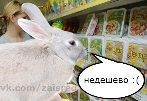 barabaka_jpeg's tweet photo. Зашла в магазин, увидела цены и ощутила себя зайцем среднего достатка(((( https://t.co/I0bK4lmKEr