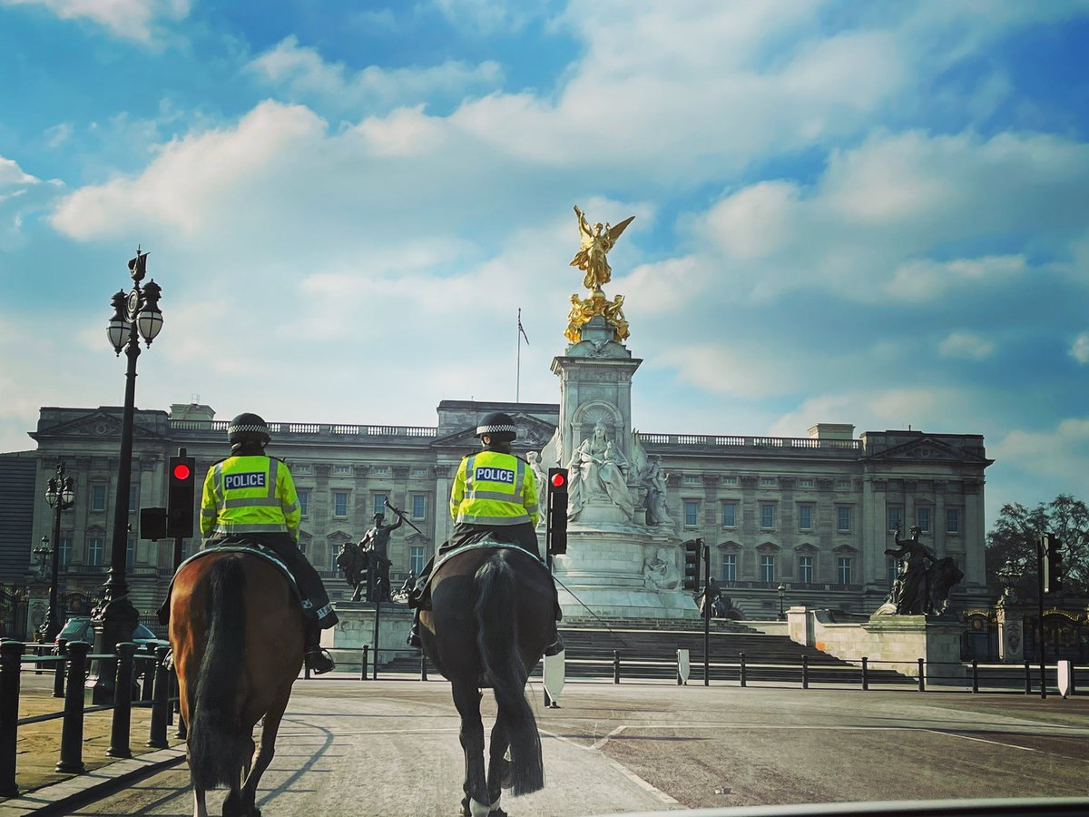 Whilst on patrol with @TaffMet ..

This was the only horse power we got to experience today.... as someone got us a bolt in the tyre 🚔🎠
@MetTaskforce 

#RoadCrimeTeam #London #BuckinghamPalace #Raptor21