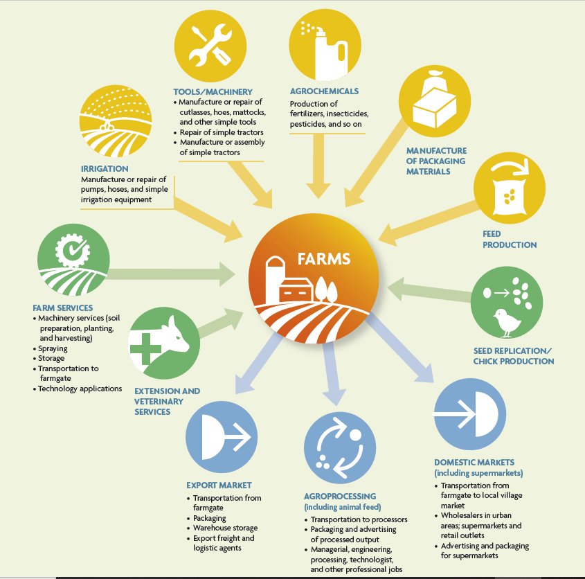 AcetforAfrica's tweet photo. Agricultural transformation can be an important part of the solution to the growing problem of unemployment in #Africa, particularly among educated #youth.
In #ATR2017, we shared types of economic activities linked to modern farming & provide employment. https://t.co/pMzmGO61Z7 https://t.co/ZuykRvD0eX