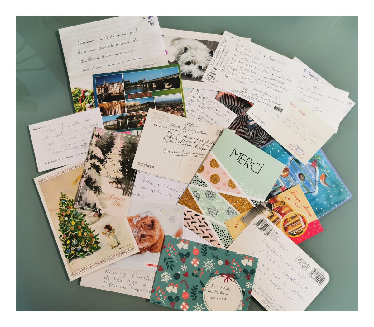 Les 3 Colonnes, le Viager Solidaire tweet media