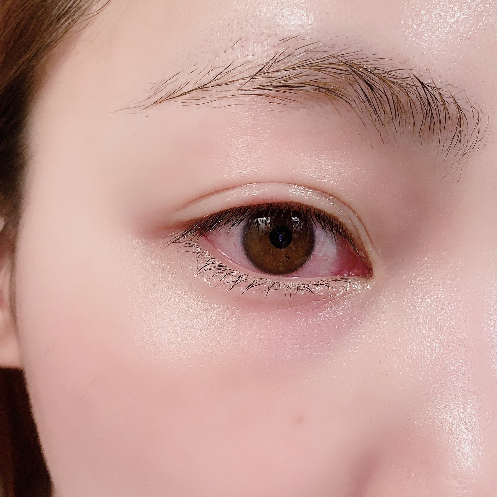 Lisa Minemura على تويتر まぶたかゆいかゆいで腫れてる日 T Co Roevncajst تويتر