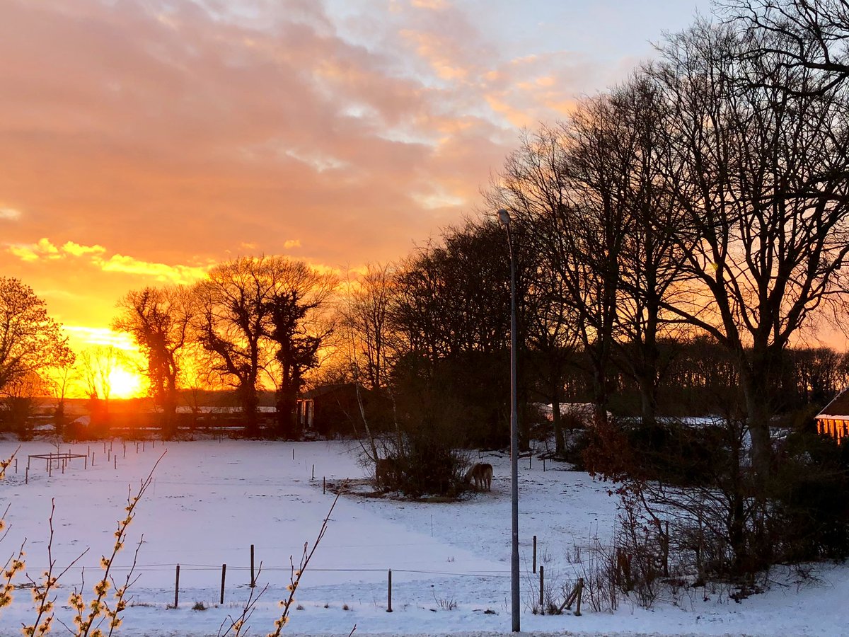 Een voordeel van thuiswerken... dit uitzicht!