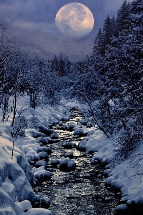 ＊*•̩̩͙❄️•̩̩͙*˚🌨️˚*•̩̩͙❄️•̩̩͙*˚＊🌨️＊*•̩̩͙❄️•̩̩͙*˚🌨️˚*•̩̩͙❄️•̩̩͙*˚＊