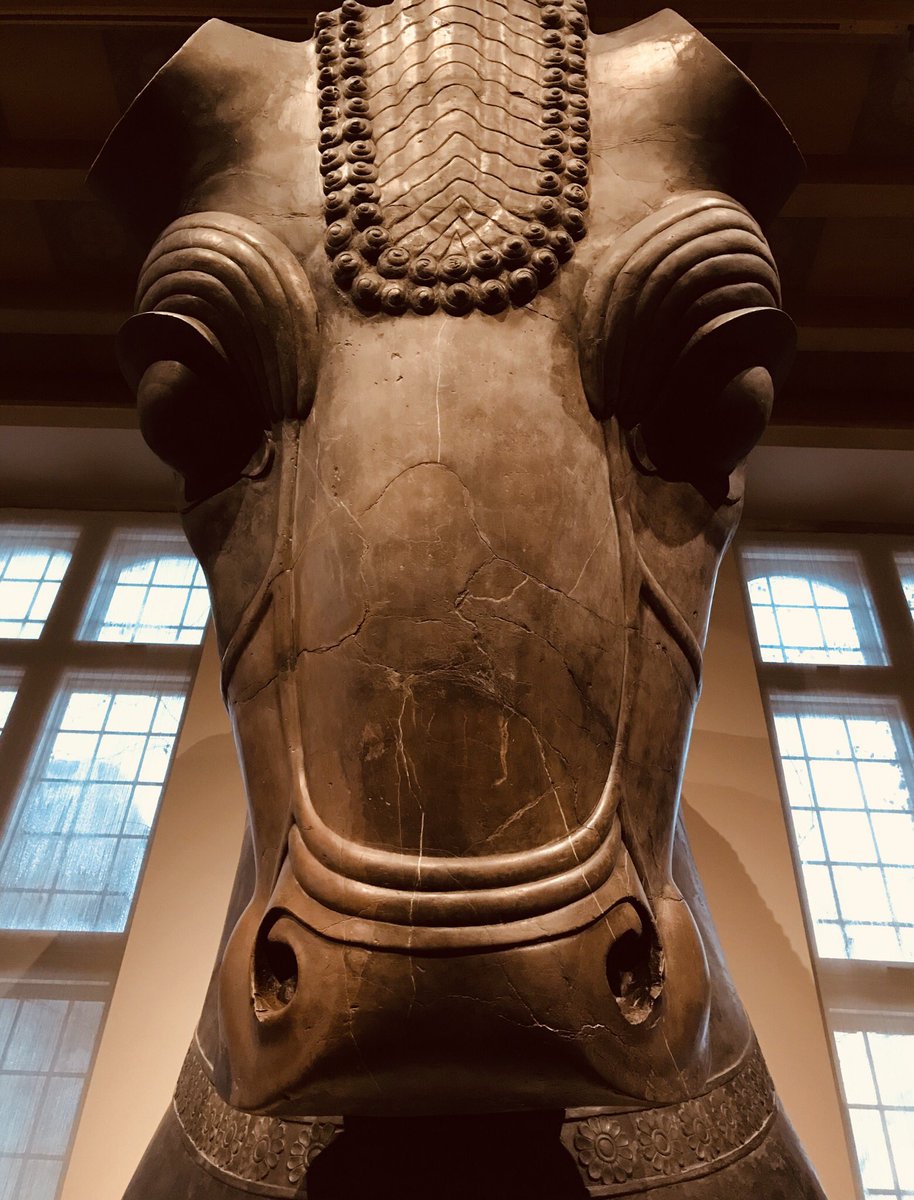 Happy Ox Year🐮🎉
#LunarNewYear2021