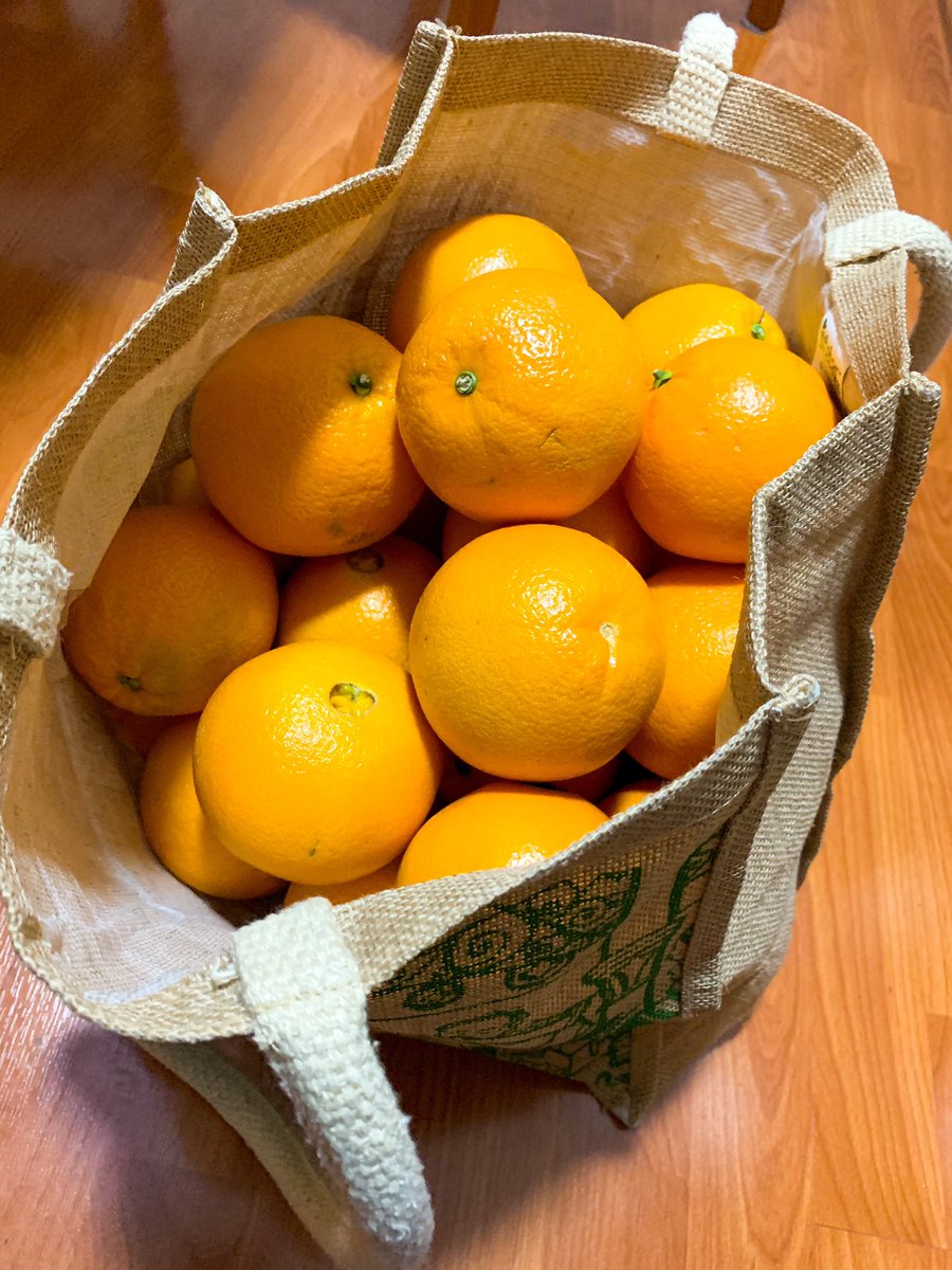 My aunt dropped off “just a few” oranges. They are the size of softballs and super juicy and sweet! What can I do with them all? #simpleordinaryjoyful