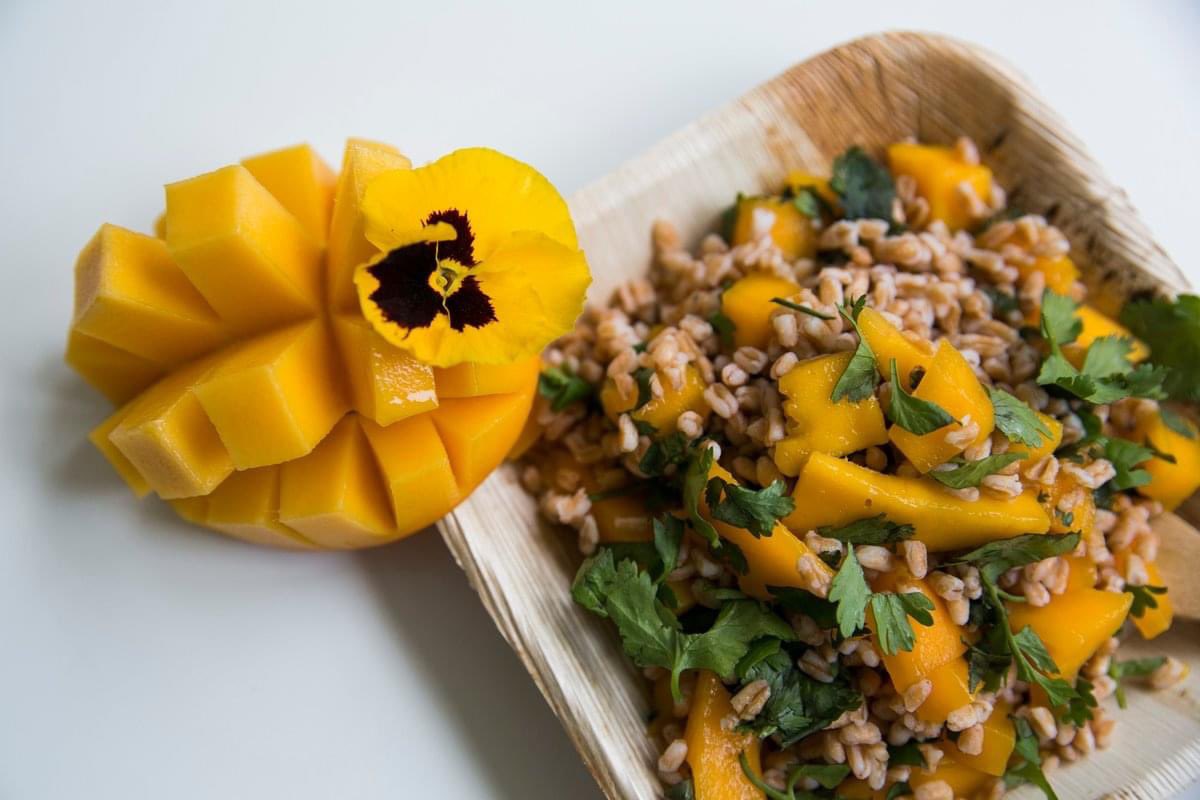 These Rectangular Palm Leaf Plates are a combination of both rustic and elegant designs. They are suitable for your eco-friendly take-out and catering, and great for home use when you want a break from dishes!
#palmleaf #plate #restaurant #dinnerware #ecofriendly #kloversales