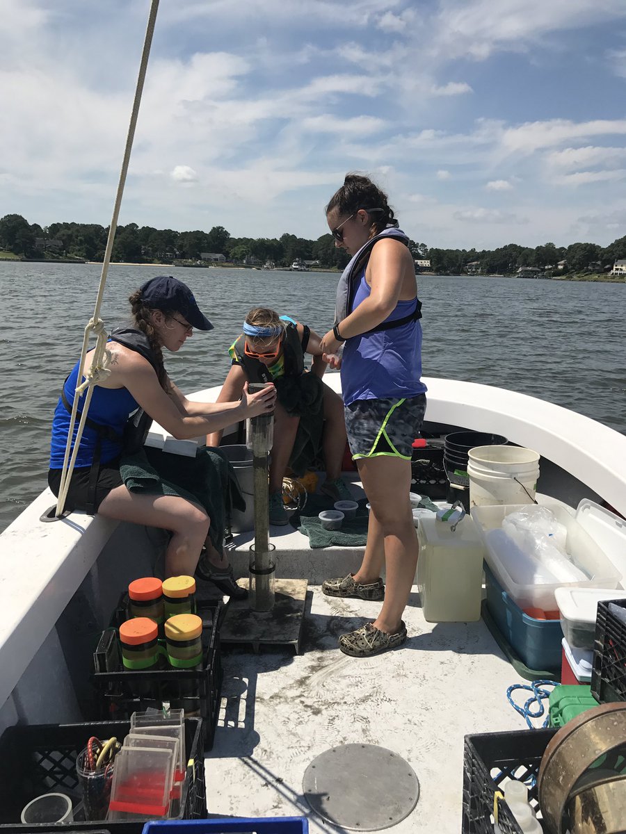 Jessie Turner (@jessiesturner) on Twitter photo Happy #WomenInScienceDay celebrating with some fav moments from the past few yrs. blessed to have worked with a very female, very fun field crew of researchers during my PhD work! #WomenInSTEM <a href="/CristinWright/">Cristin Wright</a> <a href="/grace_vims/">Grace Massey</a> Happy #WomenInScienceDay celebrating with some fav moments from the past few yrs. blessed to have worked with a very female, very fun field crew of researchers during my PhD work! #WomenInSTEM <a href="/CristinWright/">Cristin Wright</a> <a href="/grace_vims/">Grace Massey</a>