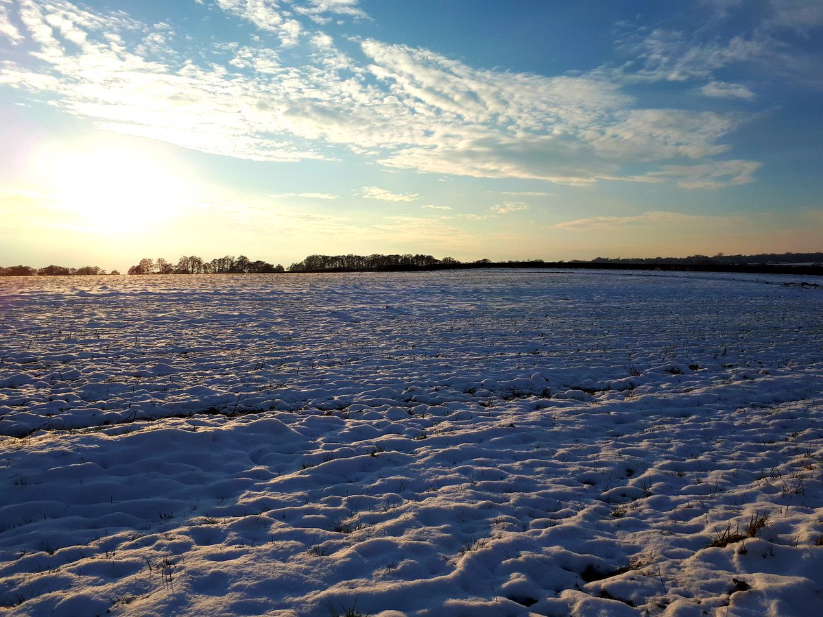 theLucyStrange's tweet photo. This afternoon's #sanitystroll - cold and bright and lovely. https://t.co/C6TxOPdA0B