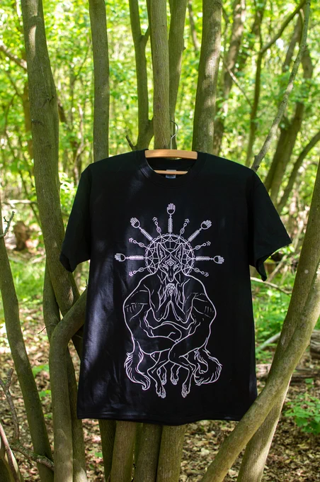 Oh I also have a shirt of one of these ^.^ https://t.co/nv7jf6FjAn 