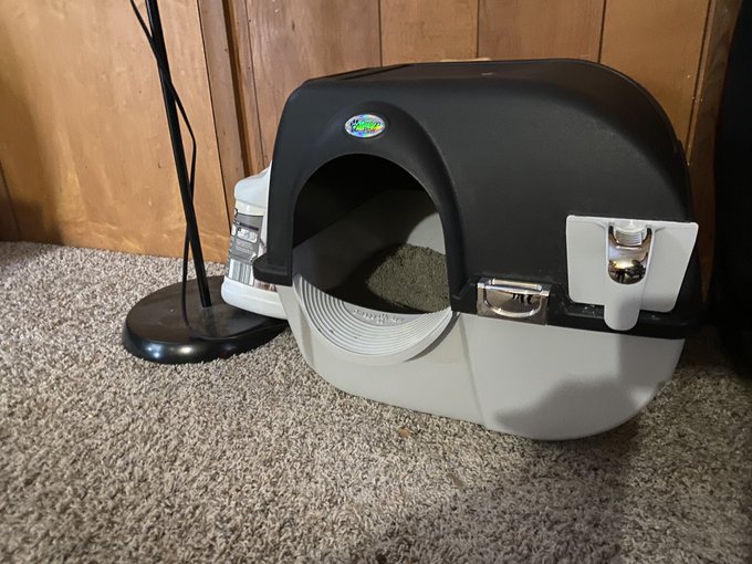Cat lovers:  You NEED to get this $40 litter box! You just flip it over, and all the clumps go straight