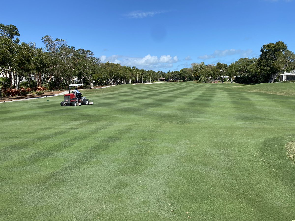 The #dolphincourse getting a little spa day at the #oceanreefclub. @NinjaTines on the greens along with a little sand. Tees getting a light top dress and a dry cut on fairways. @OceanReefTweets @TrigonTurf