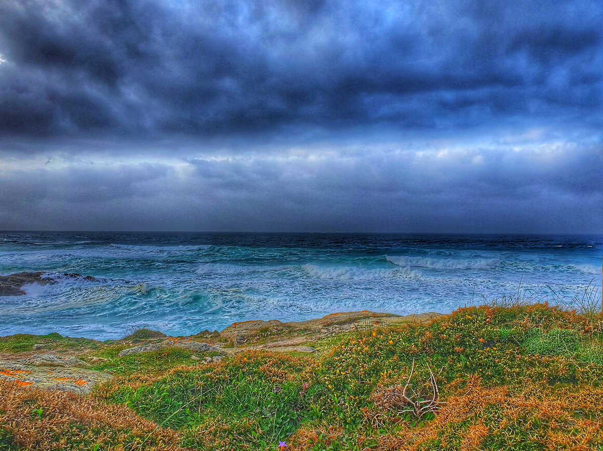 Boa tarde
#turismocarballo #carballoémar #carballomirandoaomar
#carballo #razo #baldaio #espazonatural #lic #birding #zepa #surf #beach #landscape #sea #coast #costadamorte