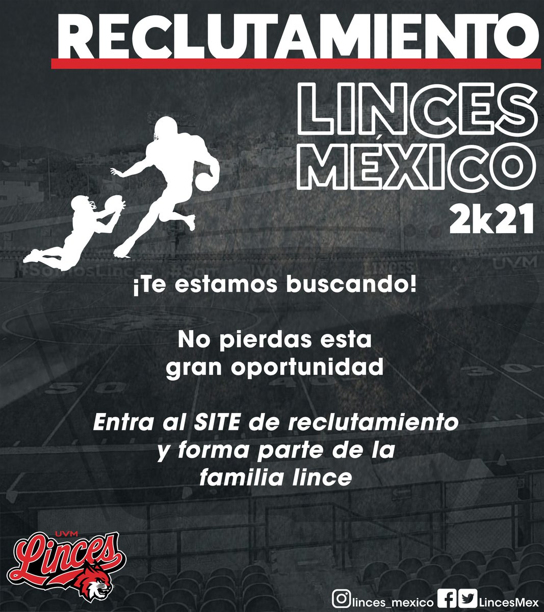 Linces México tweet media