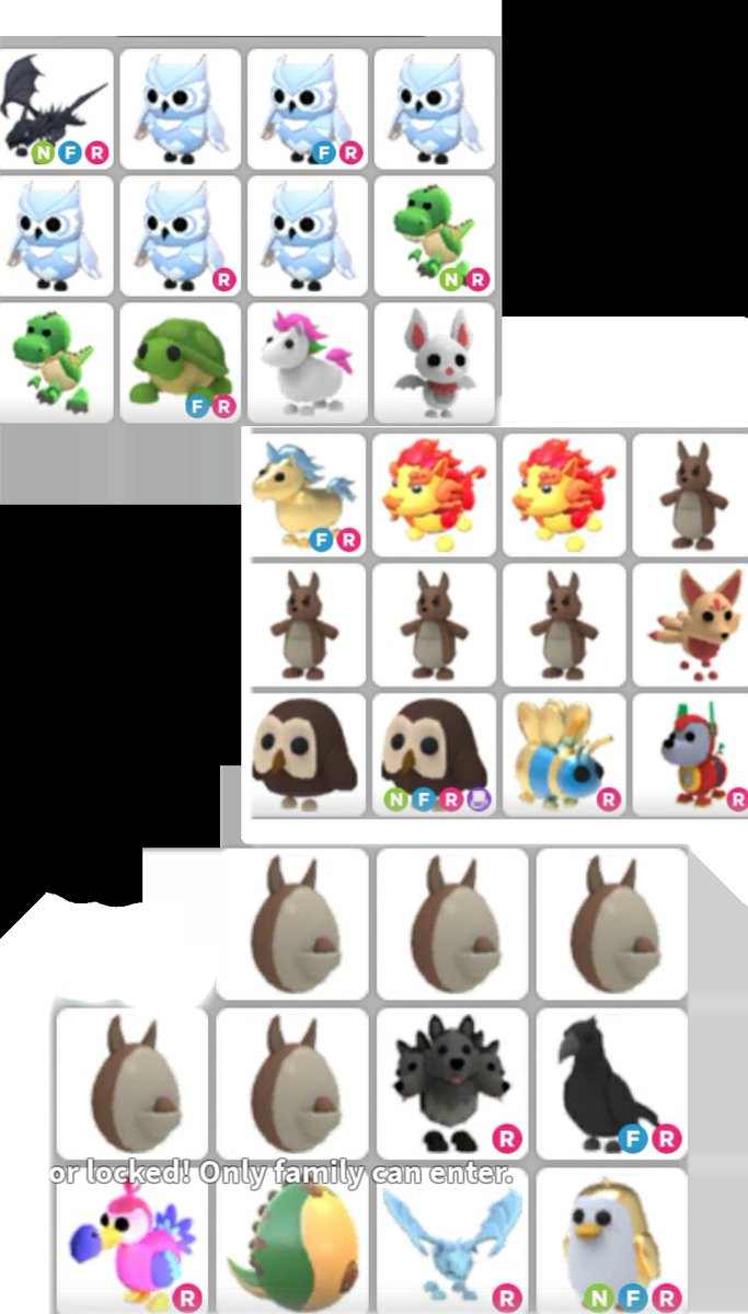 AdooptT's tweet photo. @PlayAdoptMe Offers? Like=nty https://t.co/C8mb0jskvR