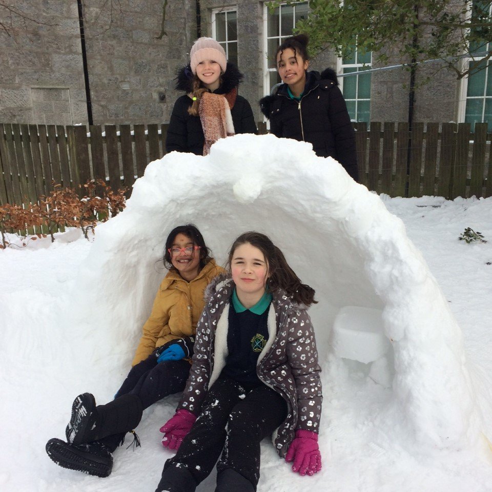 St Joseph's has its very own ice hotel!!

Architects, engineers, construction crew, surveyors, interior designers...there's an amazing future ahead for the P567 children <a href="/stjosephsabn/">stjosephsprimary</a> hub.  

#AberdeenLearns
#science 
#STEM
#DYW