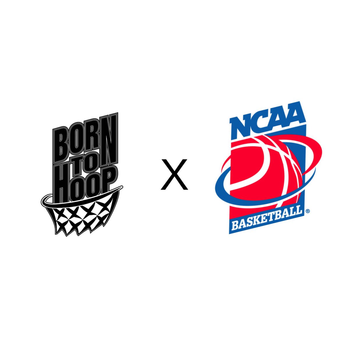 Born to Hoop Report tweet media