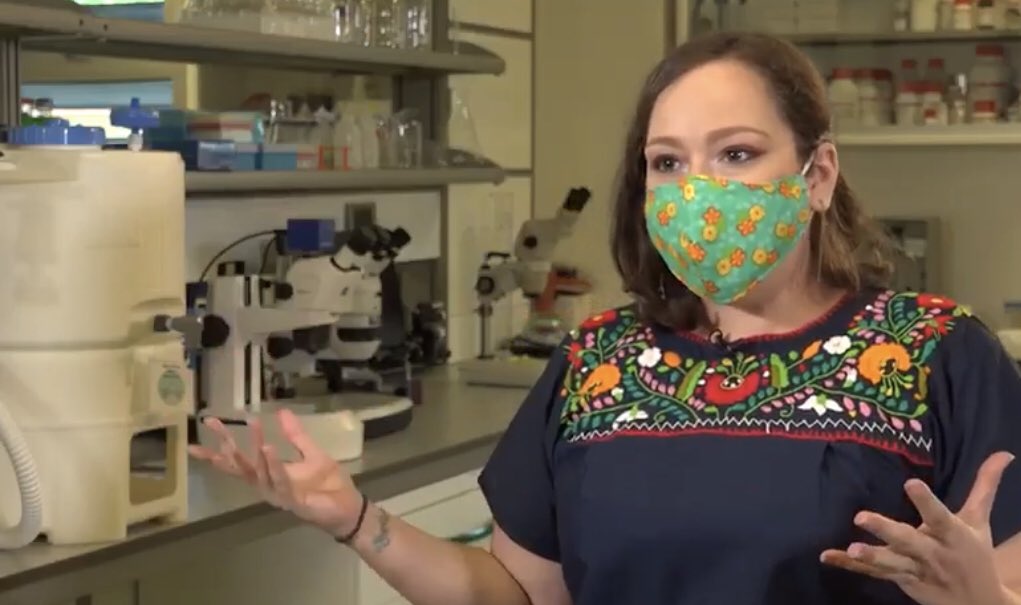 Celebremos el Día Internacional de la Mujer y la Niña en la Ciencia. 

Dra. María Carreira, Neurocientífica, investigadora en INDICASAT-AIP nos comparte la importancia de este día.

No más estereotipos ni discriminación

fb.watch/3B8lMtwn-n/