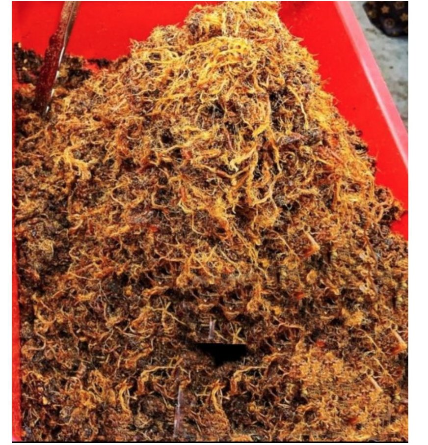 Ini kalau mai mood malas memasak ni, dapat nasi panas dengan serunding ni paduuuu. Sedapnyaa! Okay next nak check out serunding Pekan Rabu pulak! HahahShopee   https://shp.ee/nt9x7md&nbsp;