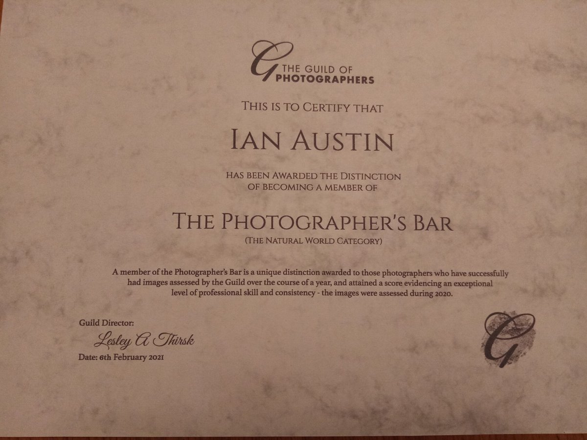 InKPhotography1's tweet photo. I've only gone and done it for the 2nd year running! I need to get out and grab some more pics if I'm going to manage a hat-trick! #theguildofphotographers #award #photographerssbar https://t.co/CoDUFHrLH6