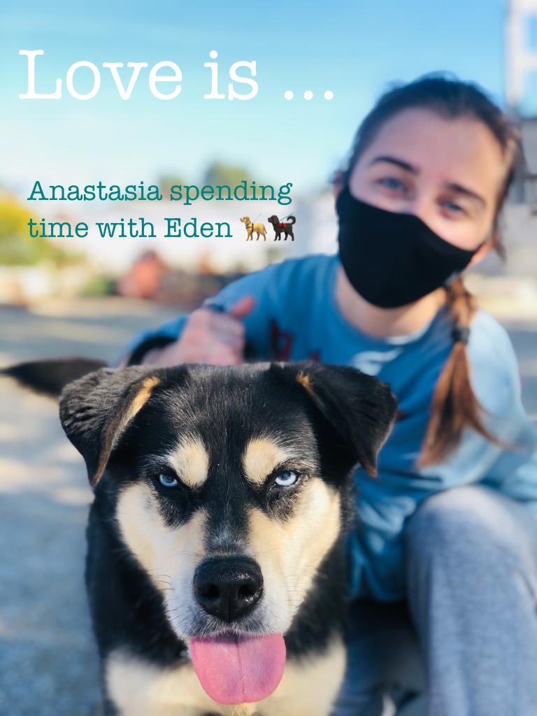 Eden 2.5-3 years old 🦮🐕‍🦺