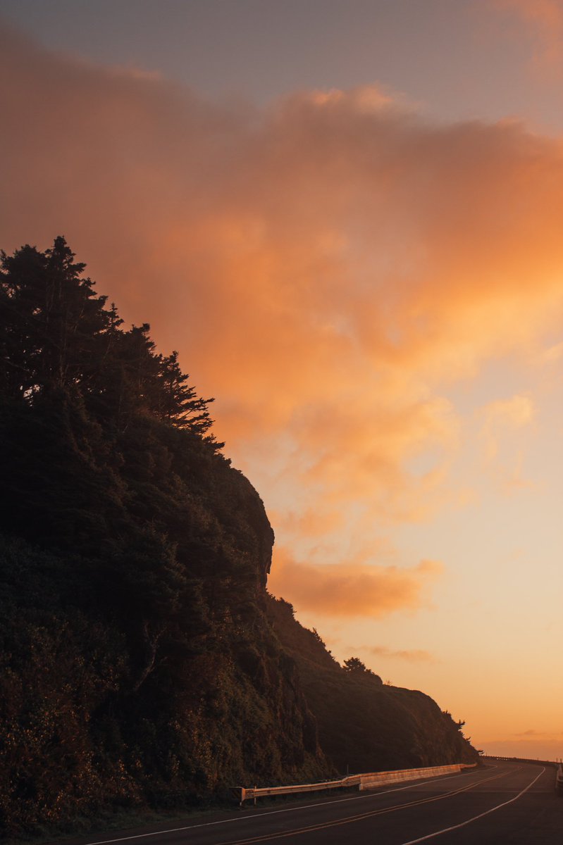 elianaexplores's tweet image. Artist                   VS          The Art