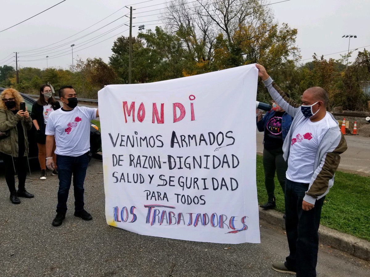 boris rorer tweet media