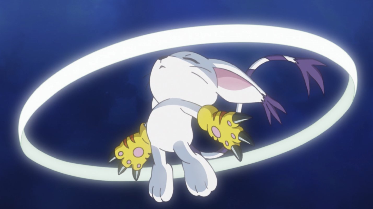 Tailmon  Digimon, Gatomon, Digimon adventure