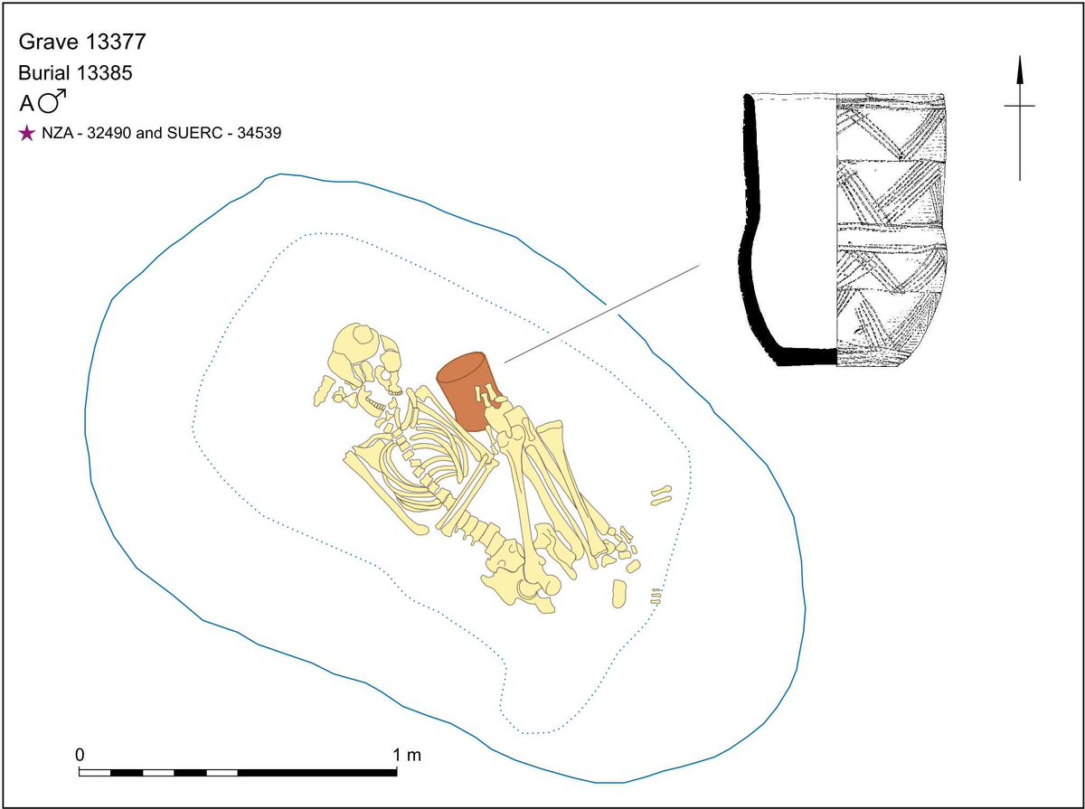 And yet, these people were buried in a landscape replete with Neolithic structures, including Stonehenge. These paternal cousins from Amesbury Down had no ancestry from local Neolithic groups but were buried next to a Neolithic timber structure (credit:  @wessexarch).