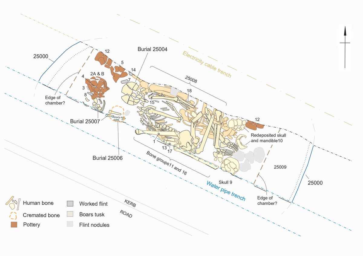 The Boscombe Bowmen Grave: the primary deposit comprised the intact skeleton of young adult male surrounded by the partial and disordered remains of 5-6 other people. A cranium found at his feet belonged to his paternal cousin or half-brother (Credit:  @wessexarch).