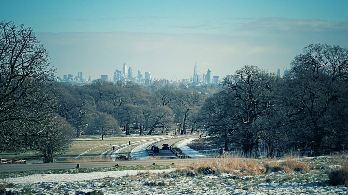 PicsPutney's tweet photo. Park life #richmondpark #winter #nature #NaturePhotography #staylocal #walking https://t.co/KrGLfR3SZZ