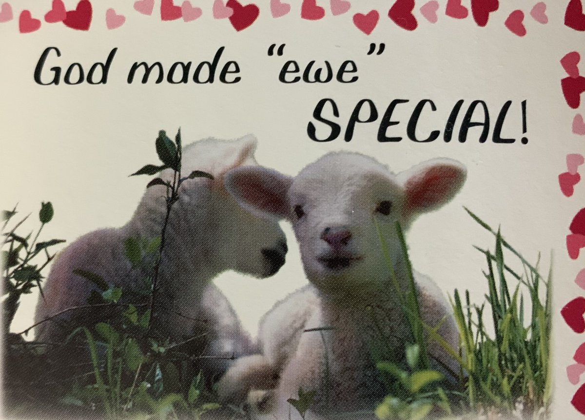 HanscomParkUMC's tweet photo. Pastor Chris received the perfect Valentine this week! Join us streaming on Sunday for our last installment of “All Sheep, All the Time!” ❤️🐑 https://t.co/9Y2zybz3PG