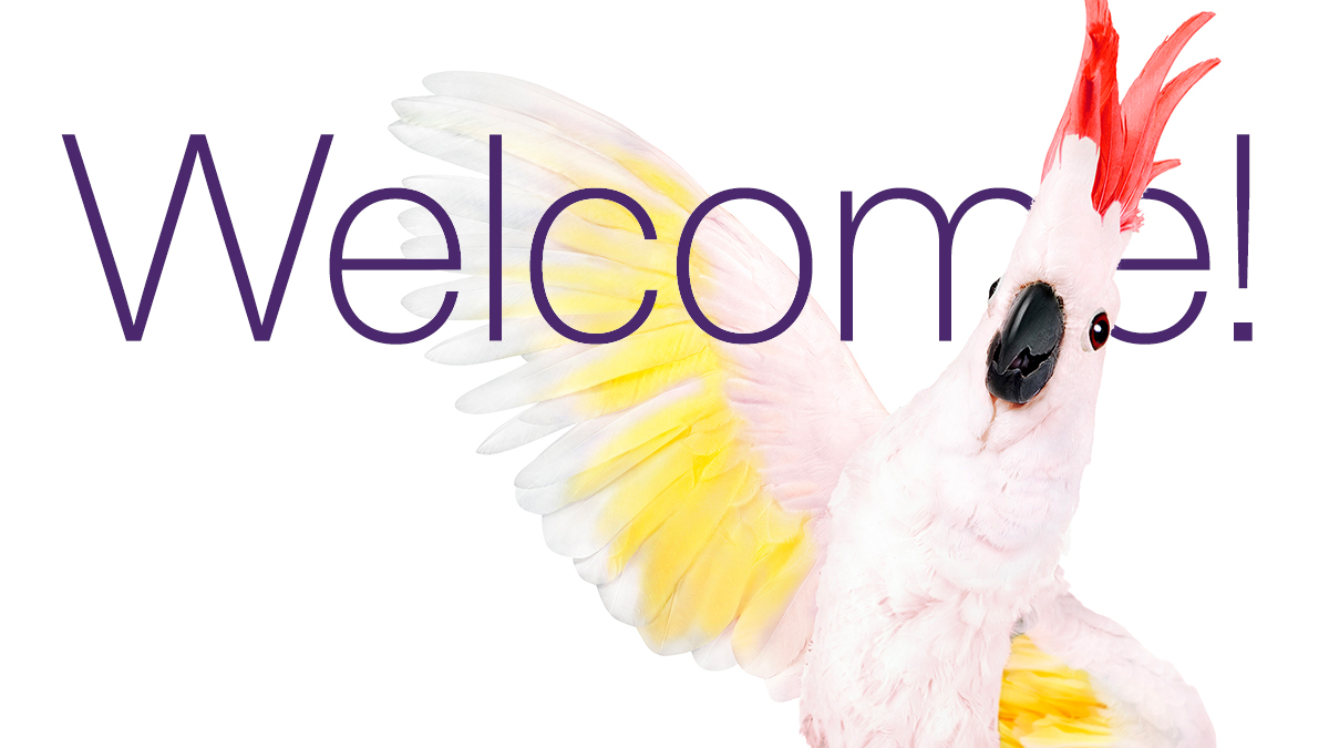 daverich72's tweet photo. When you join the @TELUS family, you’re part of a network of giving. Welcome to the 253,000 new customers who joined us last quarter! #TELUSresults #MostGivingCompany https://t.co/6s4QzdDIcY
