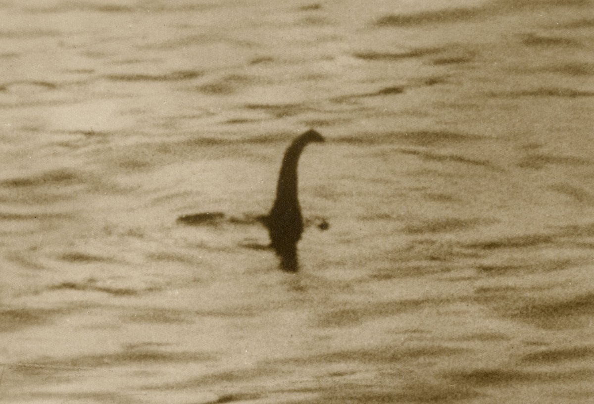 EncyclopodiaNet's tweet photo. Hey hey! I'm so excited to be interviewing @amalimali and Jade from @WhoaNessie about the Loch Ness Monster this weekend!

What questions should I ask them?

#EncycloQuestions https://t.co/6Bi20VdRZ8