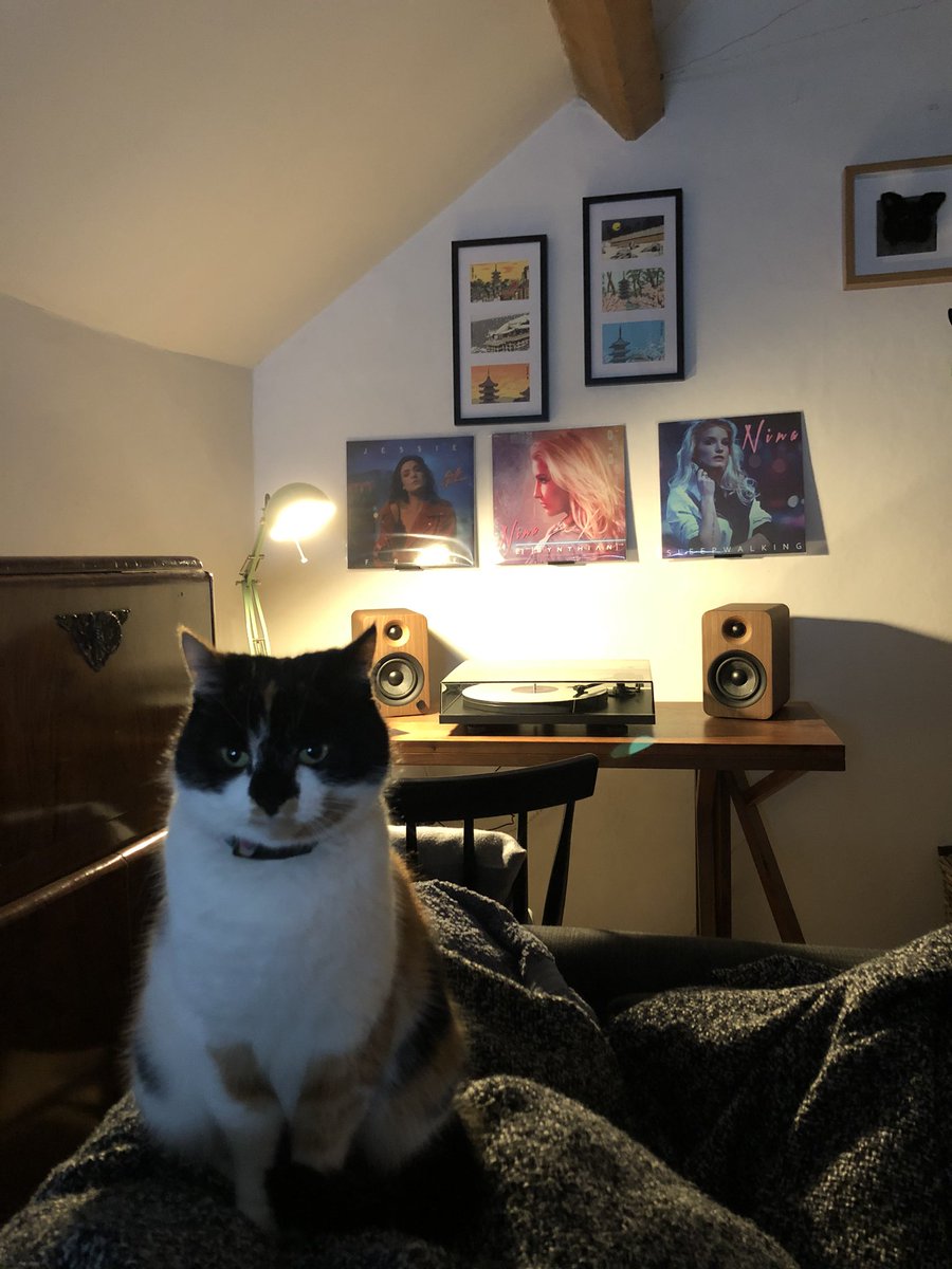 darrenj224's tweet image. @iloveninamusic my cat Nige is definitely a #Synthian #Synthwave