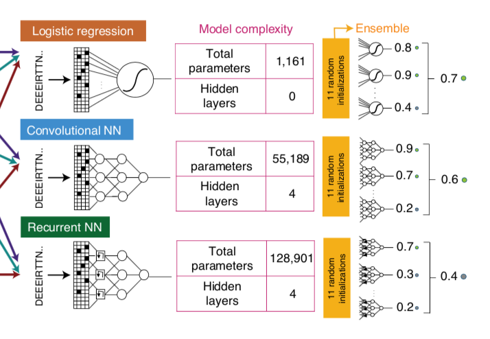 9/With this property as our training objective, we used a dataset of 70000 sequences that we had collected using random samples and a linear model (details in paper) to train logistic regression, CNN, and RNN models.